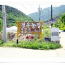 김형남농장 Daum카페