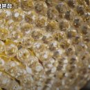 구끼구끼 민락본점 이미지