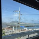 시흥리 | 죽도 맛있고 문어도 신선한 성산읍맛집 시흥리 해녀의집