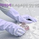 여름철 천연 제습제로 곰팡이 없는 뾰송 뾰송한 집안 집안 만들기 이미지