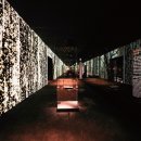 트럼프도 반한 신라 금관 한자리 이미지