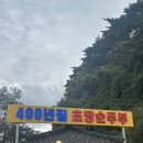 샌치(중앙점) | oct,2 10월은 여행의 달