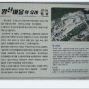 암곡 왕산 이미지