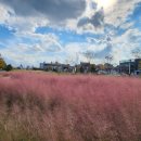 일상글쓰기 이미지