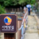 채석강후박나무