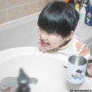 서이코퍼레이션 | 루루벨 셀워터 세면대용 필터로 부드러운 버블수 누려요