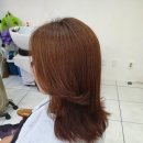 삼양카크리닉 이미지