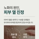 볼라욘