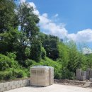 부성공조 이미지