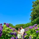 동광리-9 이미지