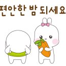 반려식물(홈가드닝) 이미지