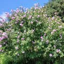 만방1리경로당 이미지