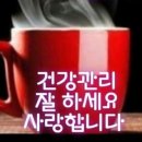 우야꼬 Daum카페