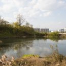 대평낚시터 이미지