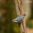 그린빌고시텔 - 달서구 서당로9길 43 | 그린빌고시텔