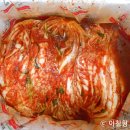 태백고원김치 네이버블로그