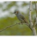 동산목장 이미지