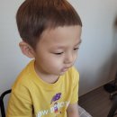 하쿠헤어 이미지