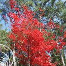 양마산 물빛길 이미지