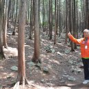 나무랑숲 이미지