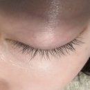 보라매역 속눈썹 잘하는 곳 란뷰티샵에서 자연스러운 속눈썹 연장한 후기
