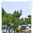 아이디어존특허법률사무소 | 아이디어존 특허법률사무소와 지식재산권 출원 전략의 새로운 시선