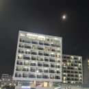 제주도해진횟집탑동본점 이미지