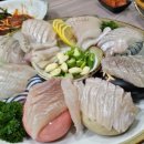 해촌회초밥 이미지