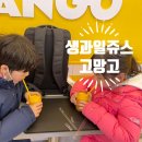 부평구청 | 부평카페 고망고 인천부평구청점 내돈내산 후기