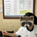 송정할매홍어 이미지