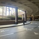 쿠이다르 이미지