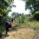 곰재농장 이미지