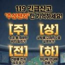 주상전하 이미지