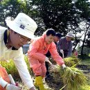 수리마을회관 및 경로당 이미지