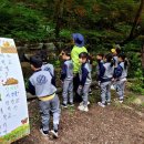 봉의초병설유치원 이미지