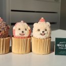 메이드알콩 이미지