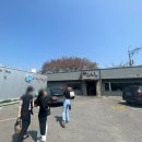 반회서3길 | 양산 상북면 맛집 김치5도씨 밥집 점심특선 사람많아요