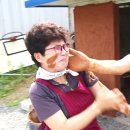 장승공업사 이미지