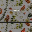 아름드리치과의원 | 11월 28일 토스행운퀴즈 등 오늘의 퀴즈 정답 알아보기