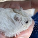 애니힐동물병원 이미지