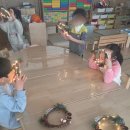 범어초교병설 이미지