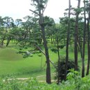 탈해왕릉 이미지