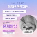 토브성형외과의원 이미지