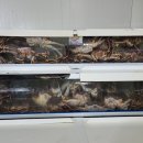 기장제1공영주차장 이미지