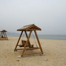 망상오토캠핑리조트 이미지