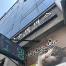삼층빌딩 | 평택 고양이카페 삼층고양이카페 후기