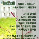 건축사사무소예담 - 횡성군 태기로19번길 10 | 건축사사무소예담