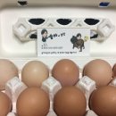 솔아농장 네이버블로그