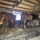 율림마을 이미지