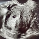 삼성연세산부인과의원 이미지